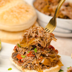 Slow Cooker Tex-Mex Pulled Pork Sandwiches [Set 1]