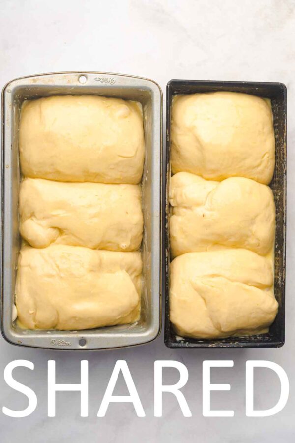 Classic Brioche Bread [Set 3] - Image 33