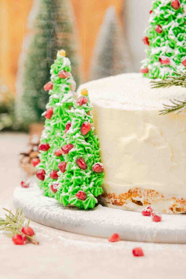 Christmas Cake - Image 20