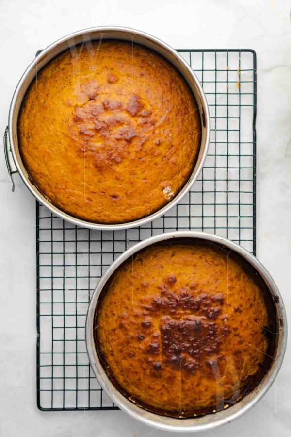 Salted Caramel Pumpkin Cake - Image 54