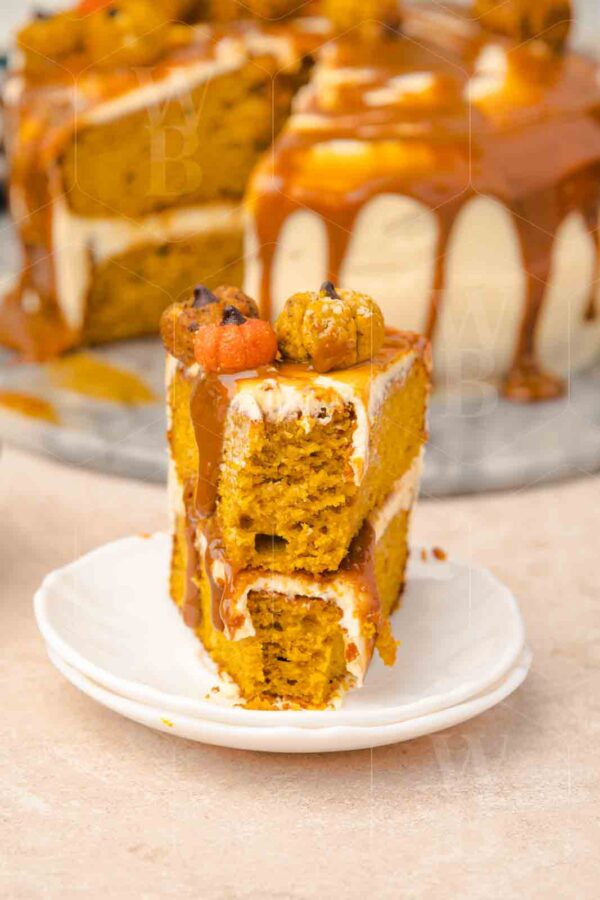 Salted Caramel Pumpkin Cake - Image 24