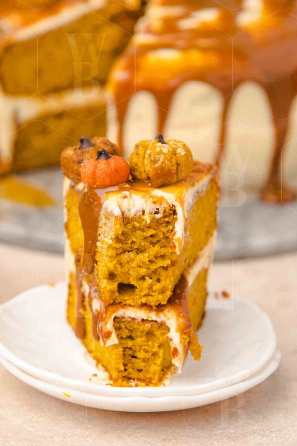 Salted Caramel Pumpkin Cake - Image 25