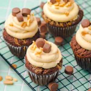 Chocolate Peanut Butter Cup Muffins [Set 4]