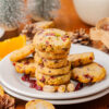 Cranberry Pistachio Shortbread Cookies [Set 2]